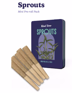 Photograph of product: Mango Haze | 5pk