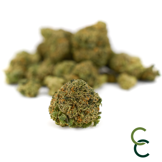 Photograph of product: Grape Pie - Small Buds - 14g