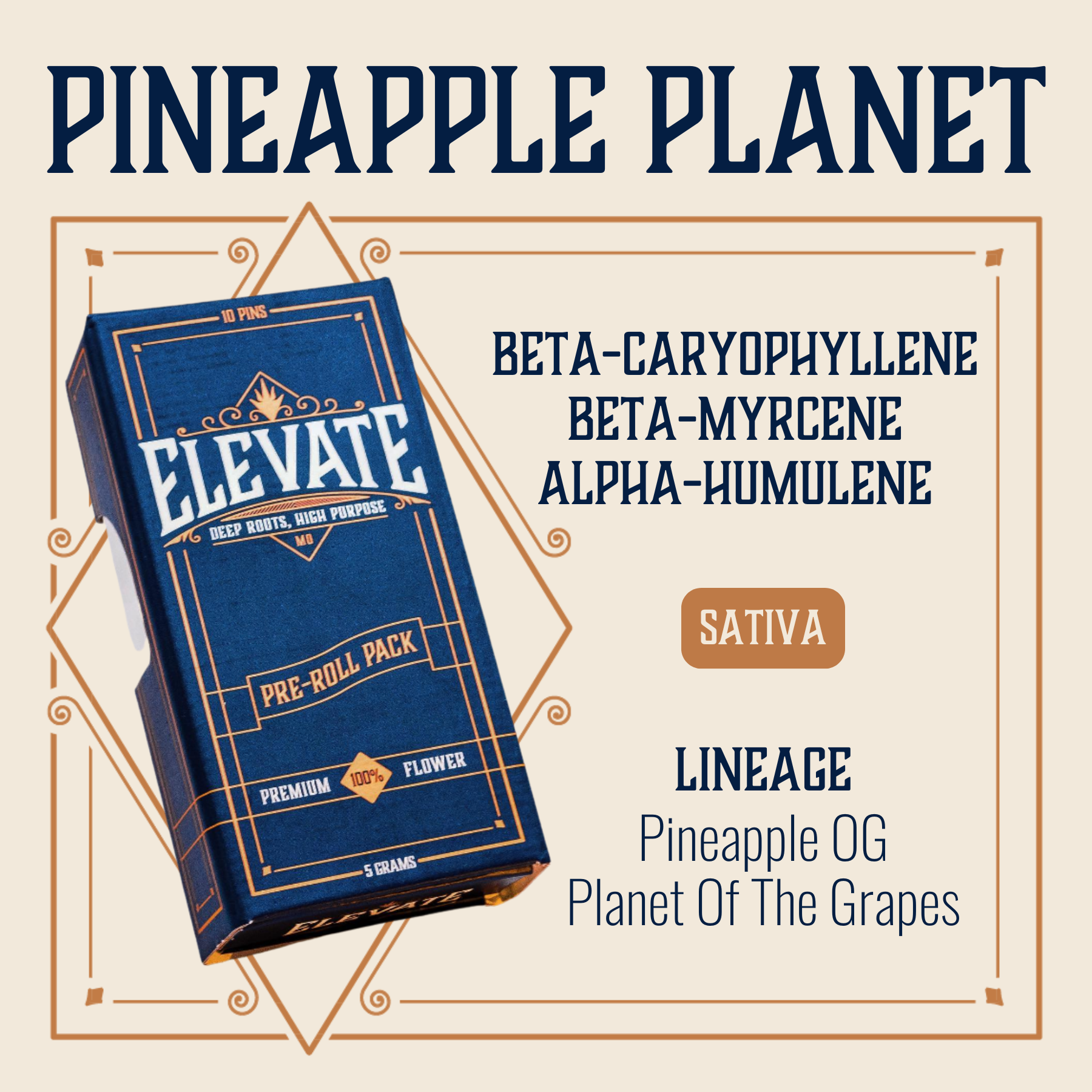 Photograph of product: ELEVATE - PINS - PREROLL - 0.5G - 10PK - PINEAPPLE PLANET - Oui'd
