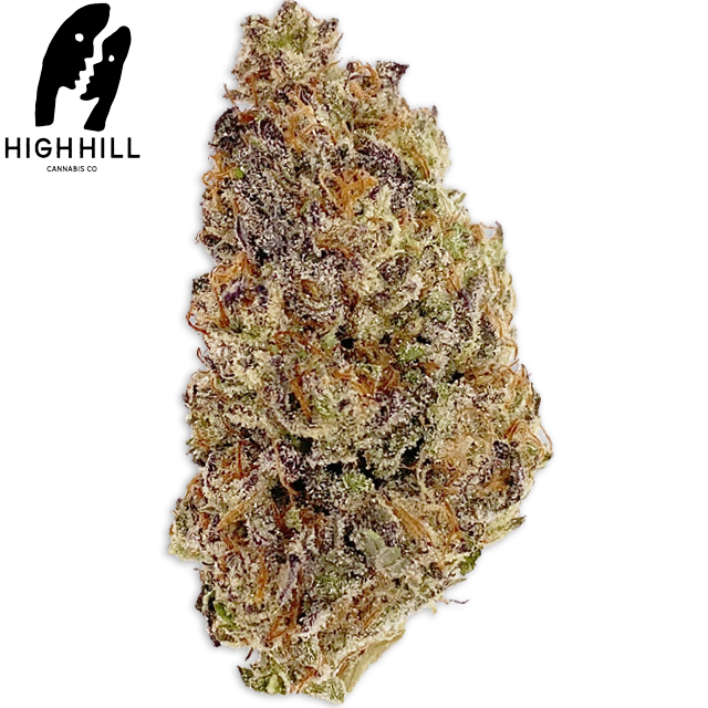 Photograph of product: GMO X GUSH MINTZ (14G)