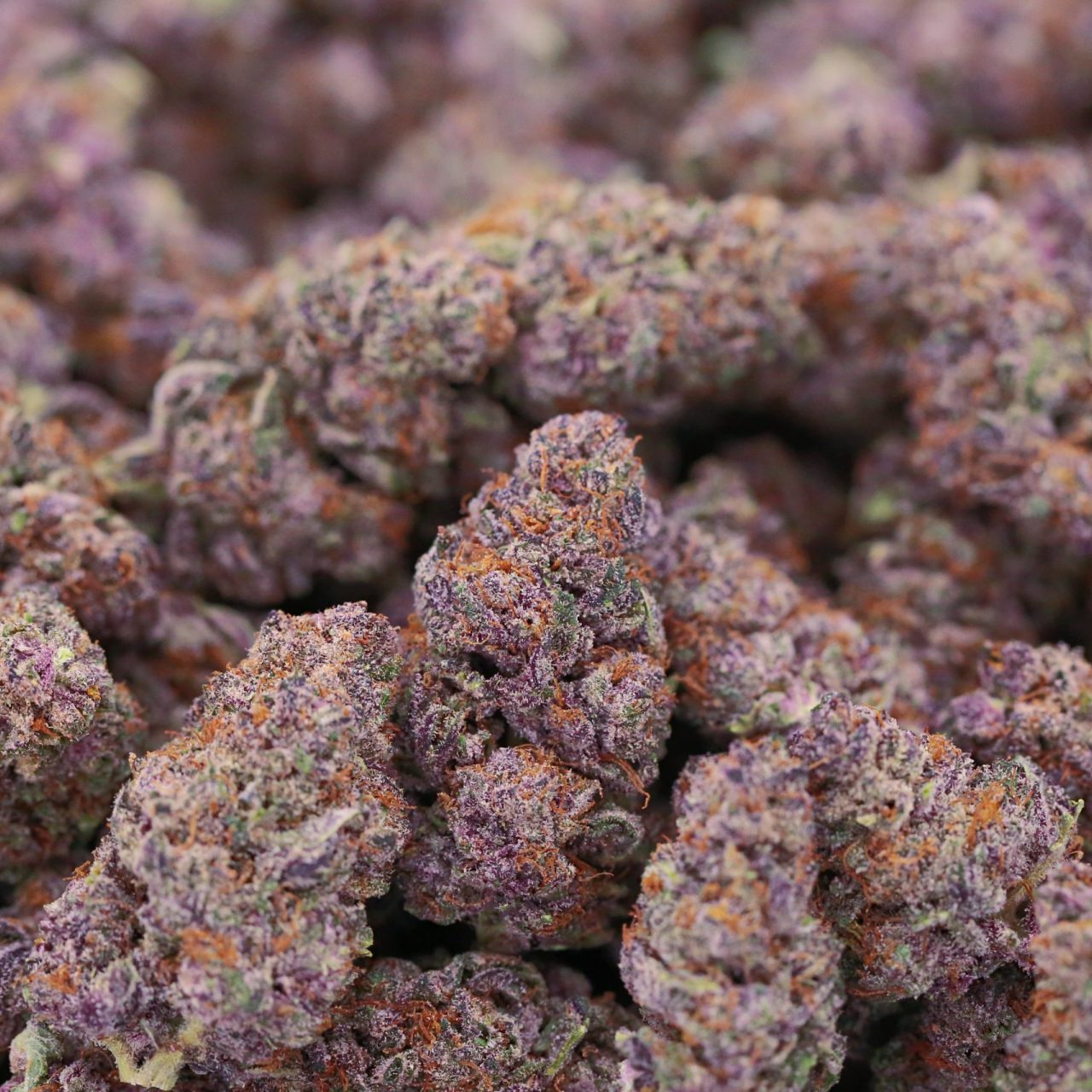 Photograph of product: Blackberry Kush $80 Oz