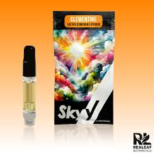 Photograph of product: Skyy | Cartridge | Clementine