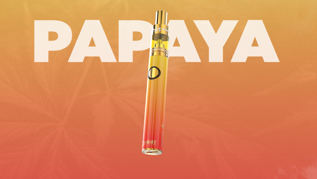Photograph of product: DIME - LR Disposable - (H) Papaya - 1g