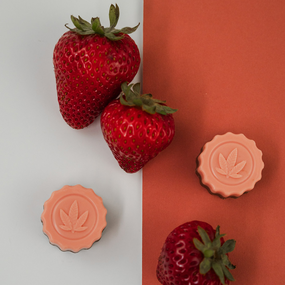 Photograph of product: Strawberry Cheesecake Chocolates
