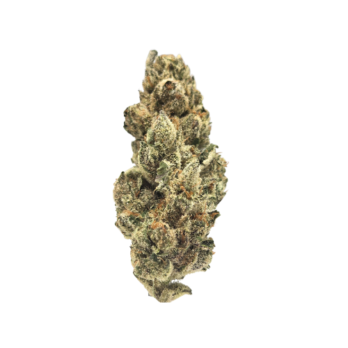 Photograph of product: Gary Payton | Deli-Style Flower - 1g