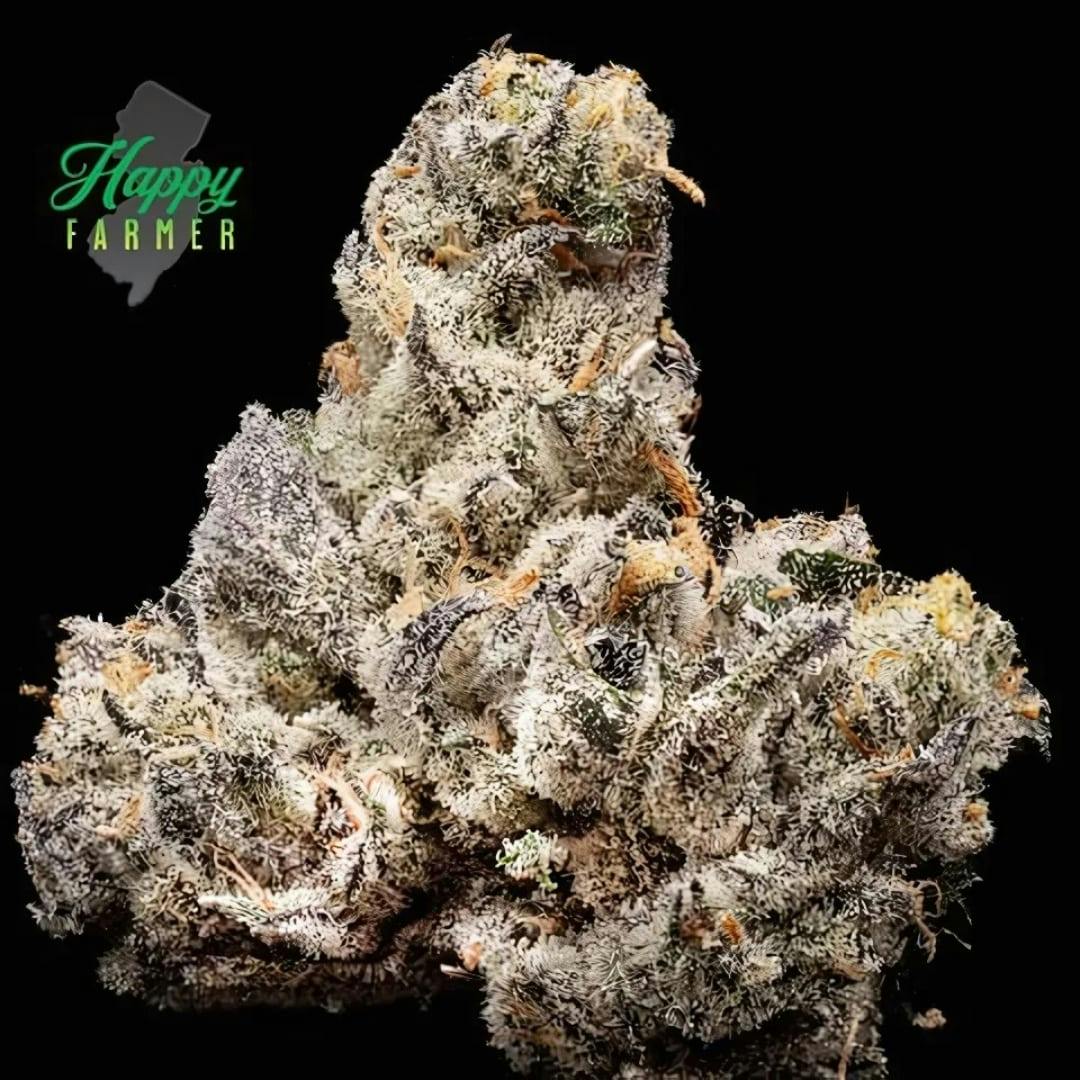Photograph of product: Blackout Bobby - 3.5g Flower