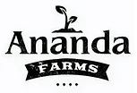 Photograph of product: Ananda Farms | Vanilla Cream Pie Pre-roll | Single