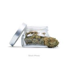 Photograph of product: Tsaa Nesunkwa | Flower | Gush Mints - 14g