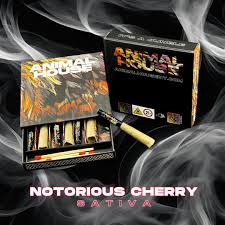 Photograph of product: Animal House | Notorious Cherry | 3.5g Infused 7pk Pre-Rolls