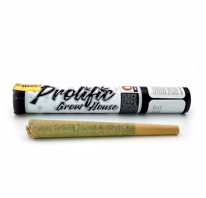 Photograph of product: GMO Kush | Pre-Roll (1ct)