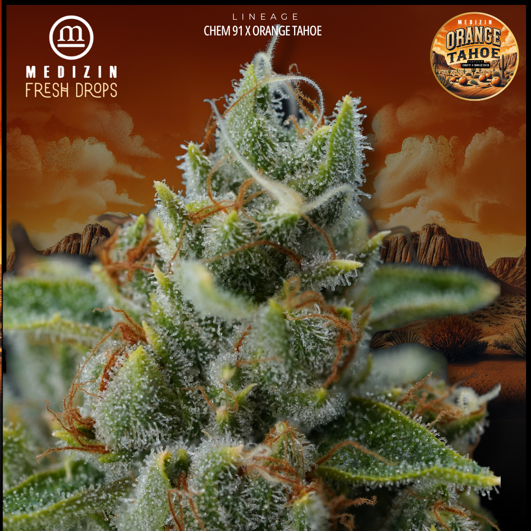 Photograph of product: Medizin FRESH DROP Orange Tahoe 3.5g Prepack