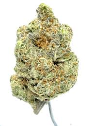 Photograph of product: Curio | Grapes of Wrath Buds - 3.5g