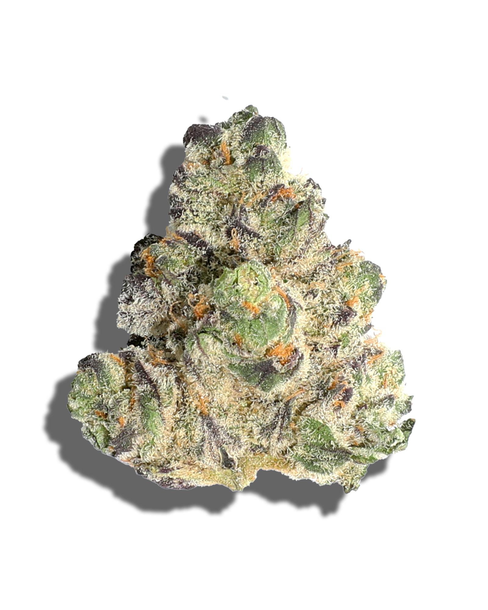 Photograph of product: Ogee Crasher 1oz