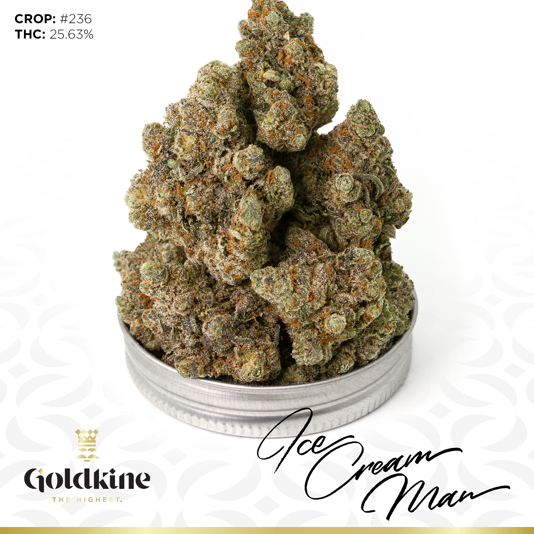 Photograph of product: Goldkine | Oreo Blizzard | Deli-Style Flower - 28g
