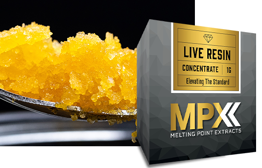 Photograph of product: MPX Orange Malt Live Resin Sugar 1g