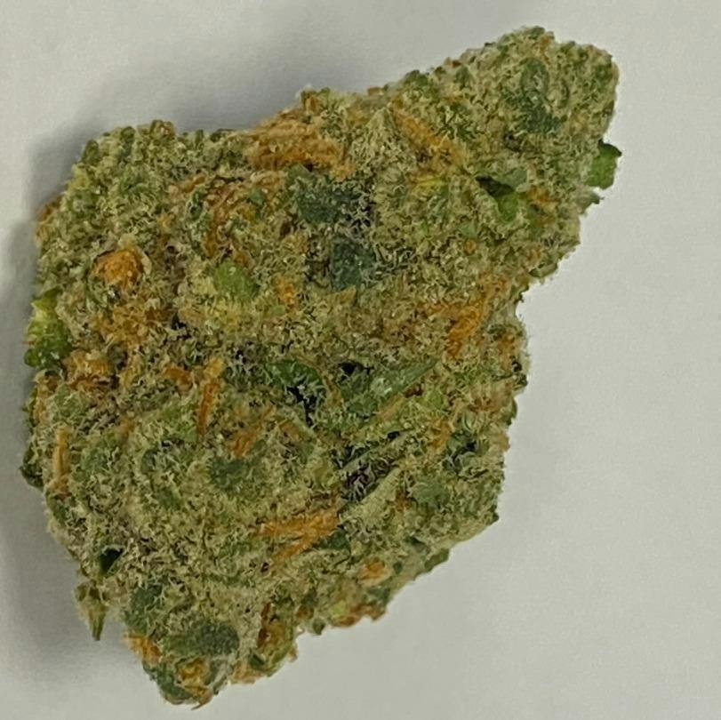 Photograph of product: Sunset Sherbert | Gold Label - REC