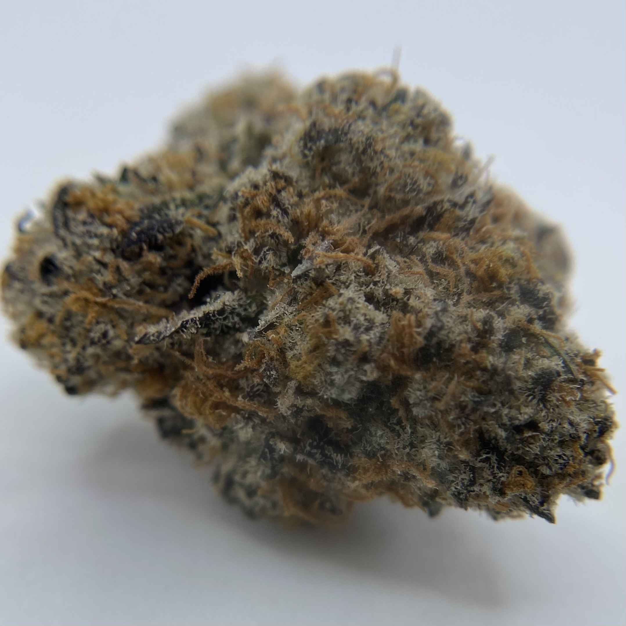 Photograph of Product: Artsy: Kept Secret Buds - 28g