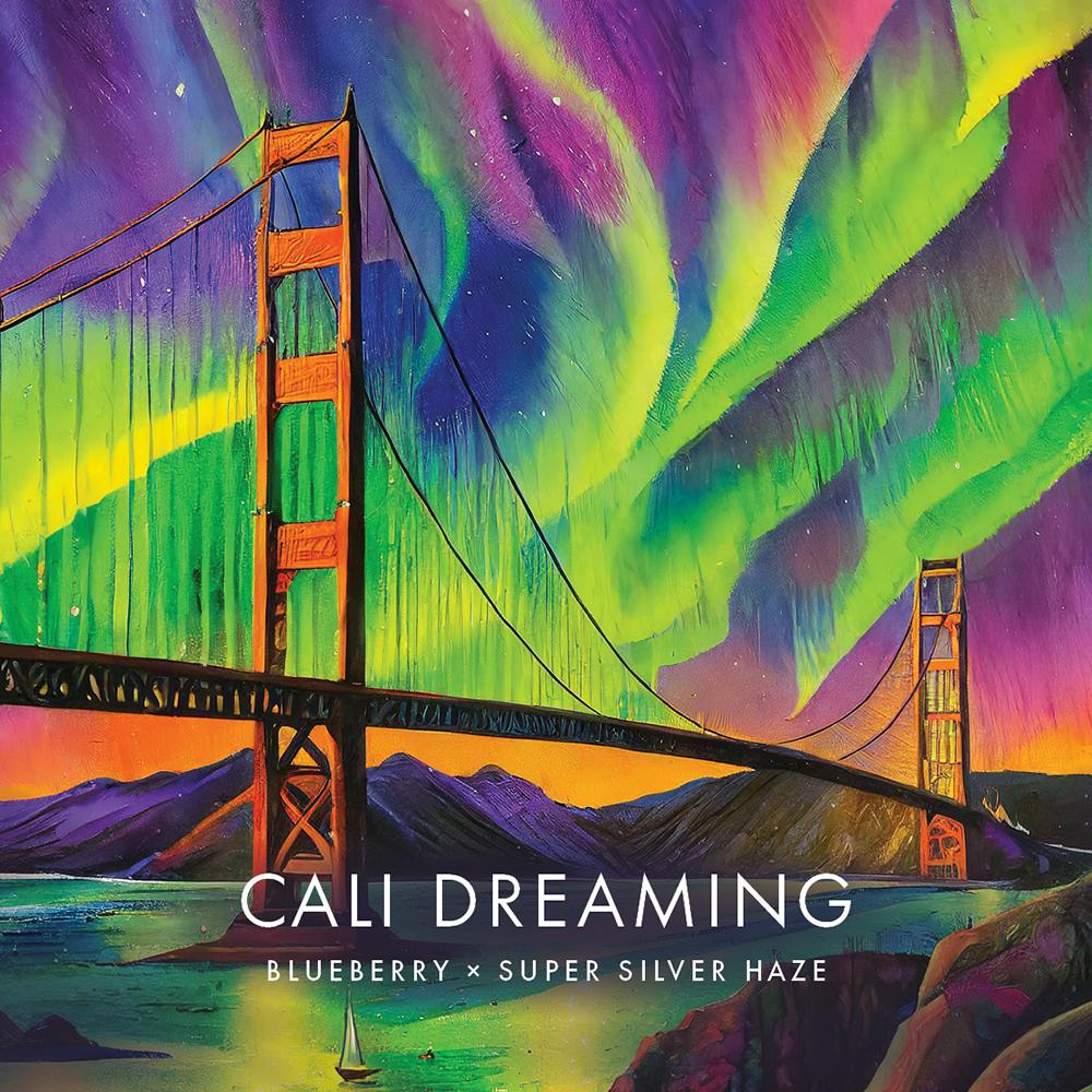 Photograph of product: California Dreamin Airgraft Pod | The Standard | 1g - 