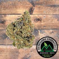 Photograph of product: Slurricane | 28g