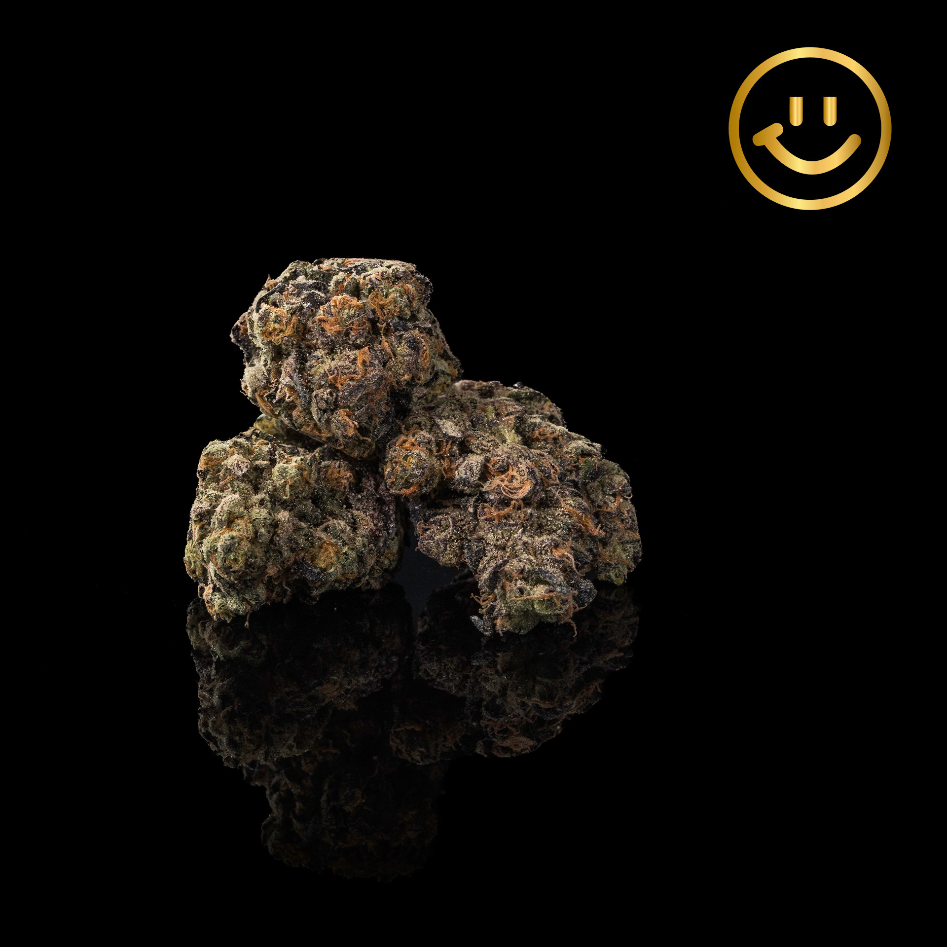 Photograph of product: Eugreen Farms | Soul Train | indoor flower