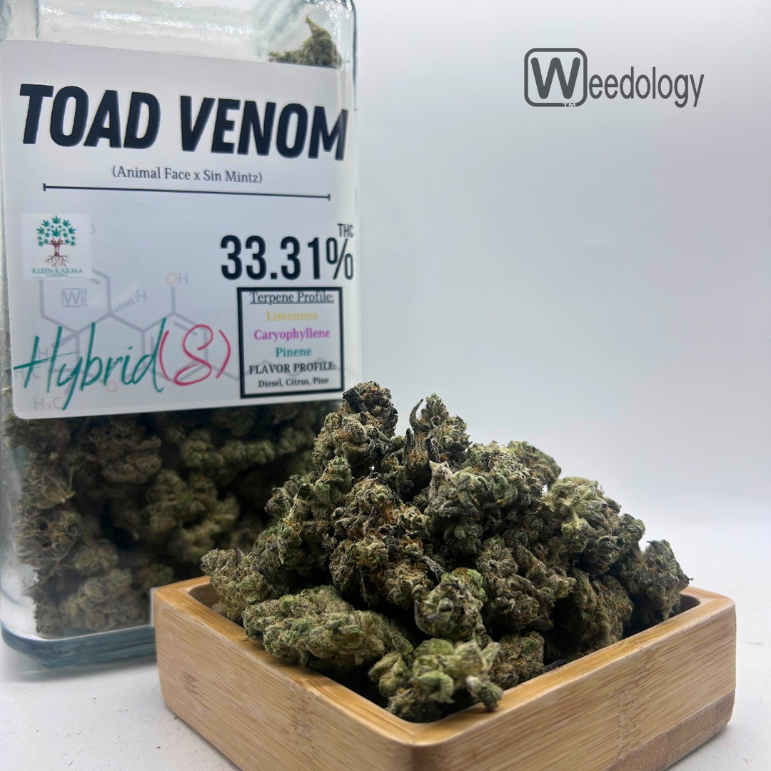 Photograph of product: Toad Venom (I-H) - 28g