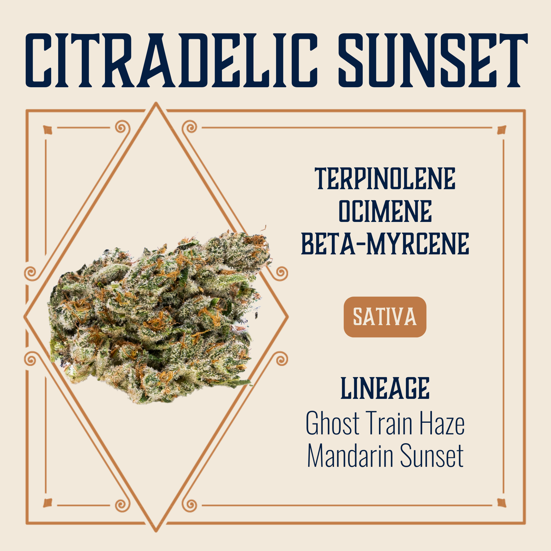 Photograph of product: Citradelic Sunset Flower | 3.5g