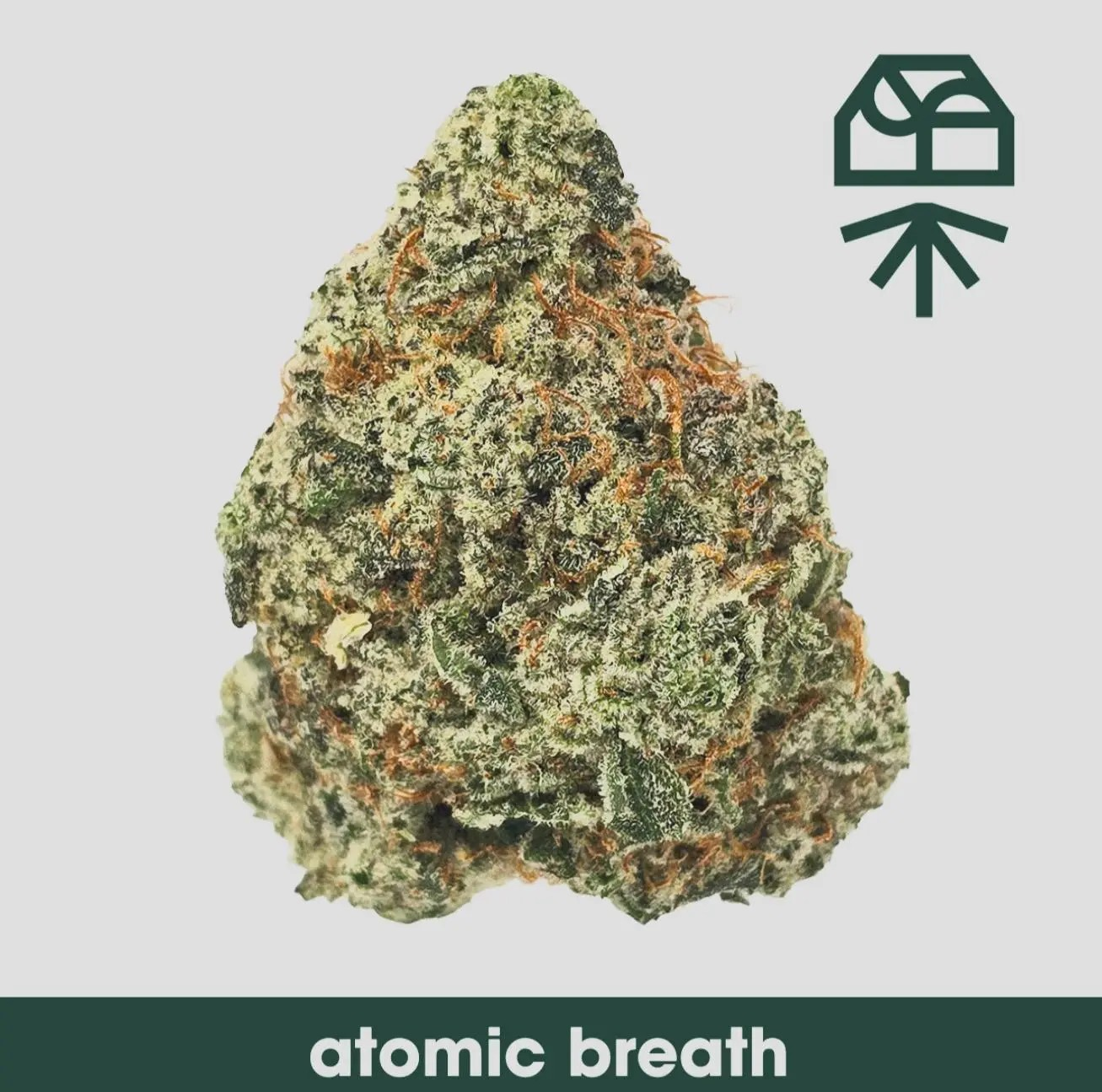 Photograph of product: Grassroots - Atomic Breath Flower - 3.5g