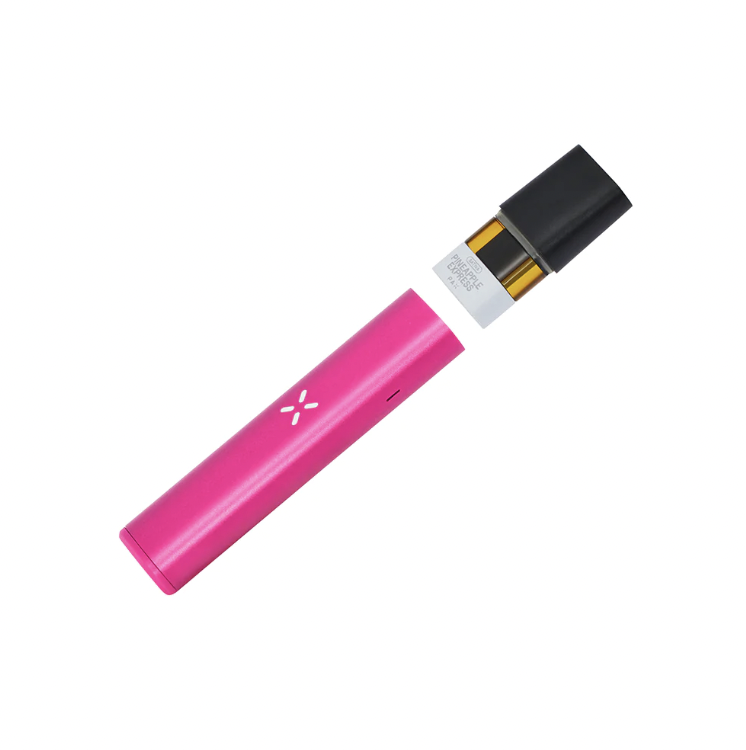 Photograph of product: PAX Era Life - Battery - Pink