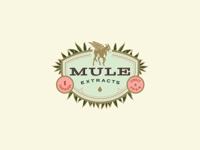 Photograph of product: Sour POG CBG 1:2 Kicker - Mule
