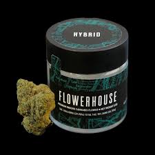 Photograph of product: Flowerhouse | Smash Burger Premium Indoor | 3.5G Flower