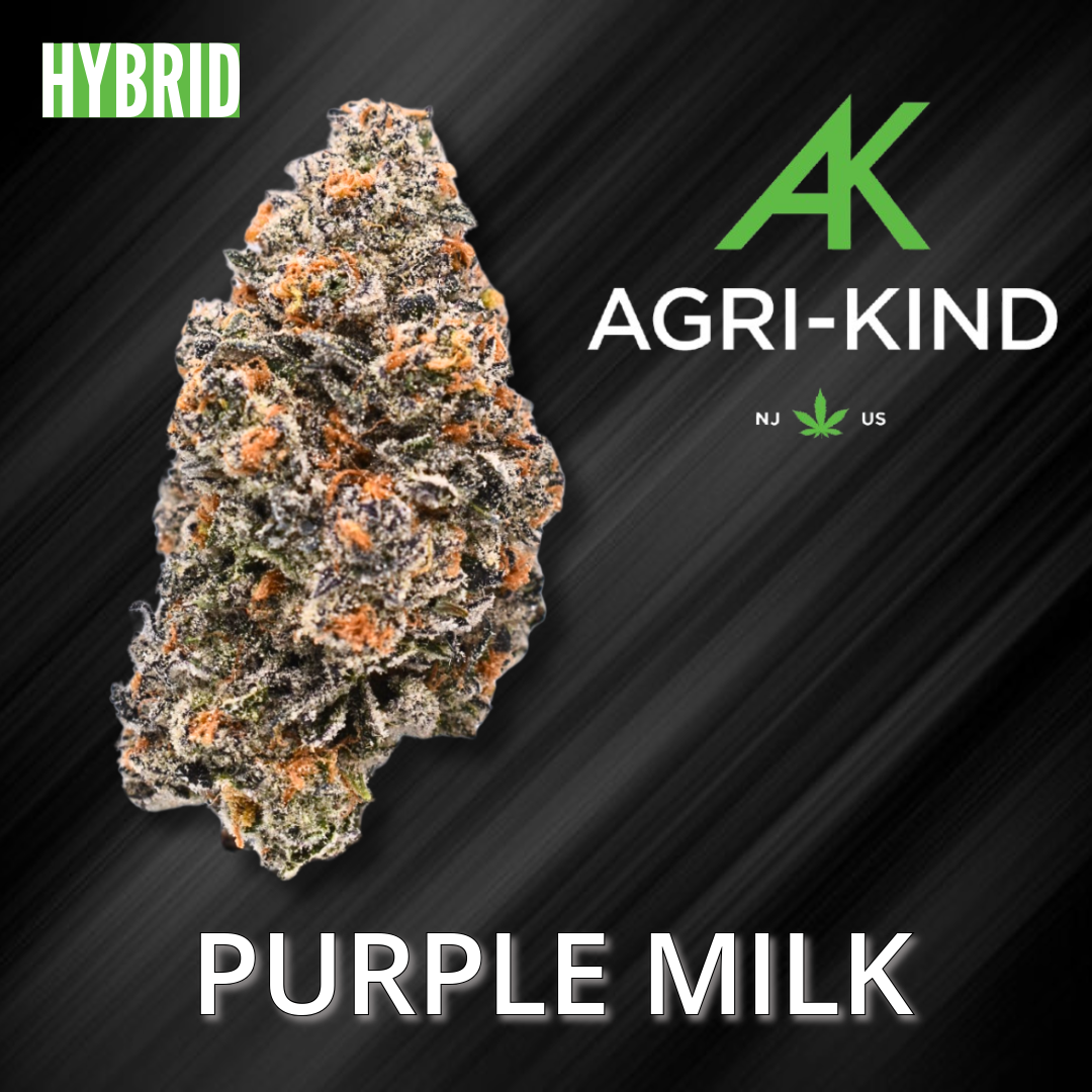 Photograph of product: Purple Milk: PR; 2 Pack - 1g