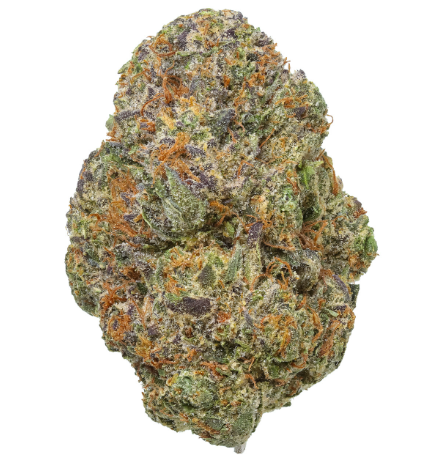 Photograph of product: Host - Gelato Cake - prepacked - 3.5g