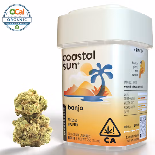 Photograph of product: Coastal Sun | Flower S/H | Banjo - 3.5g