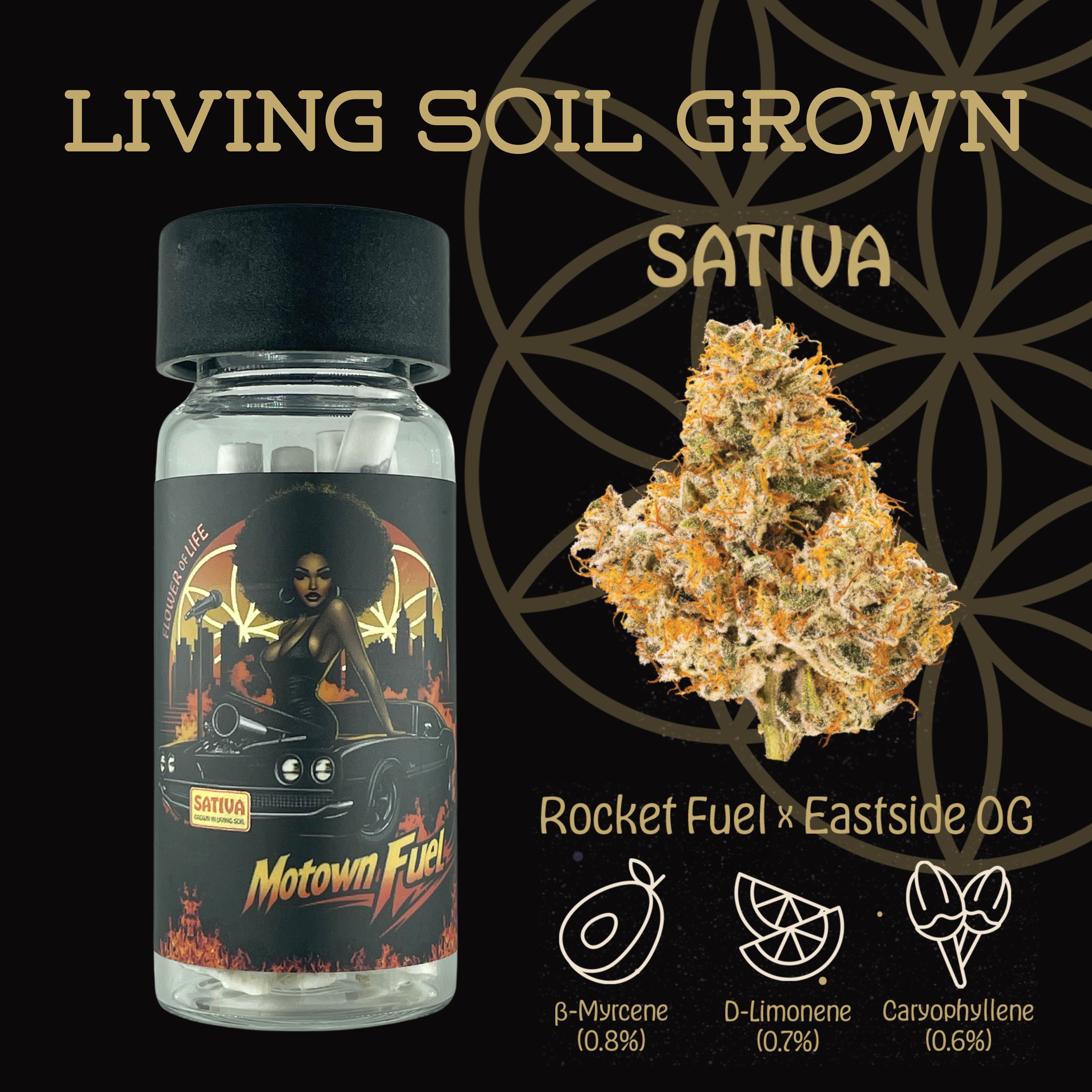 Photograph of product: Flower Of Life - Motown Fuel - Organic Pre Roll Pack - 5pk - - Oui'd