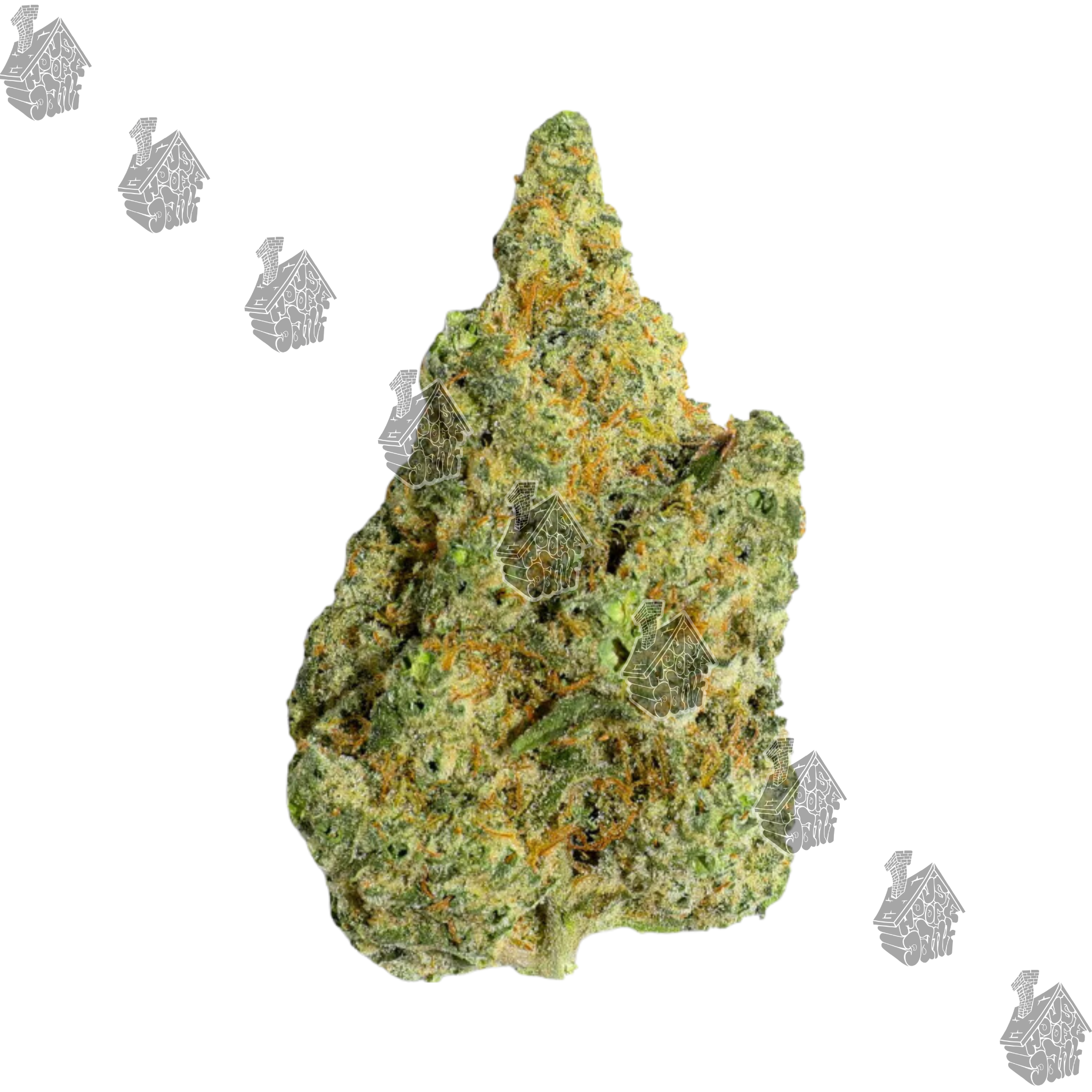 Photograph of product: Mango Mintality - 28g