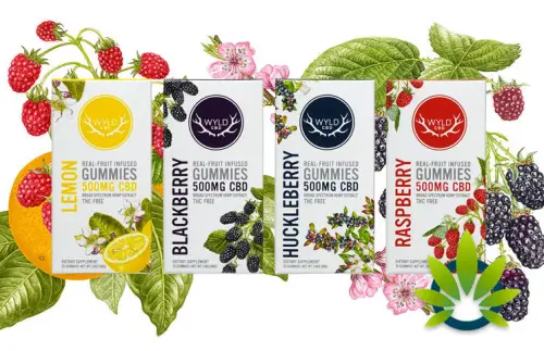 Photograph of product: (THC FREE) Blackberry 500MG CBD Gummies