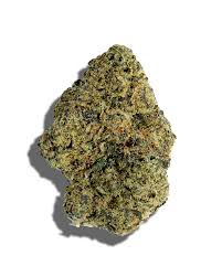 Photograph of product: Common Citizen | Grease Bucket | Deli-Style Flower - 28g