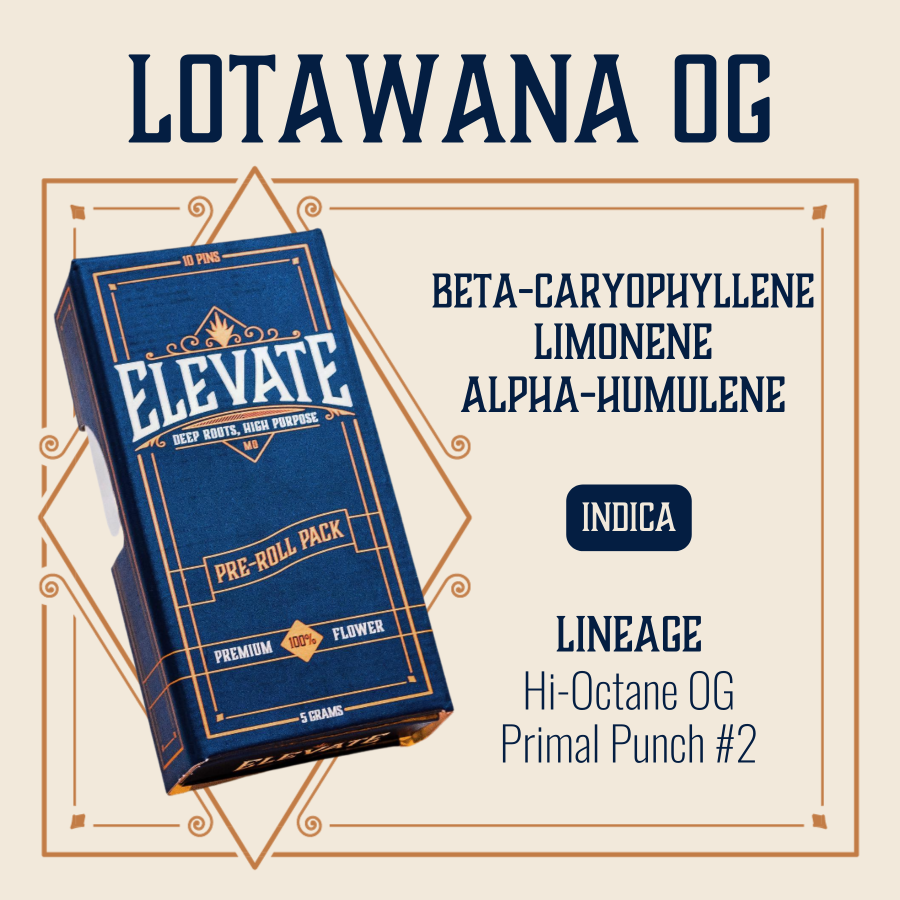 Photograph of Product: Elevate: Pre-Roll Pack | Lotawana OG | Elevate Pins | 0.5g | 10pk