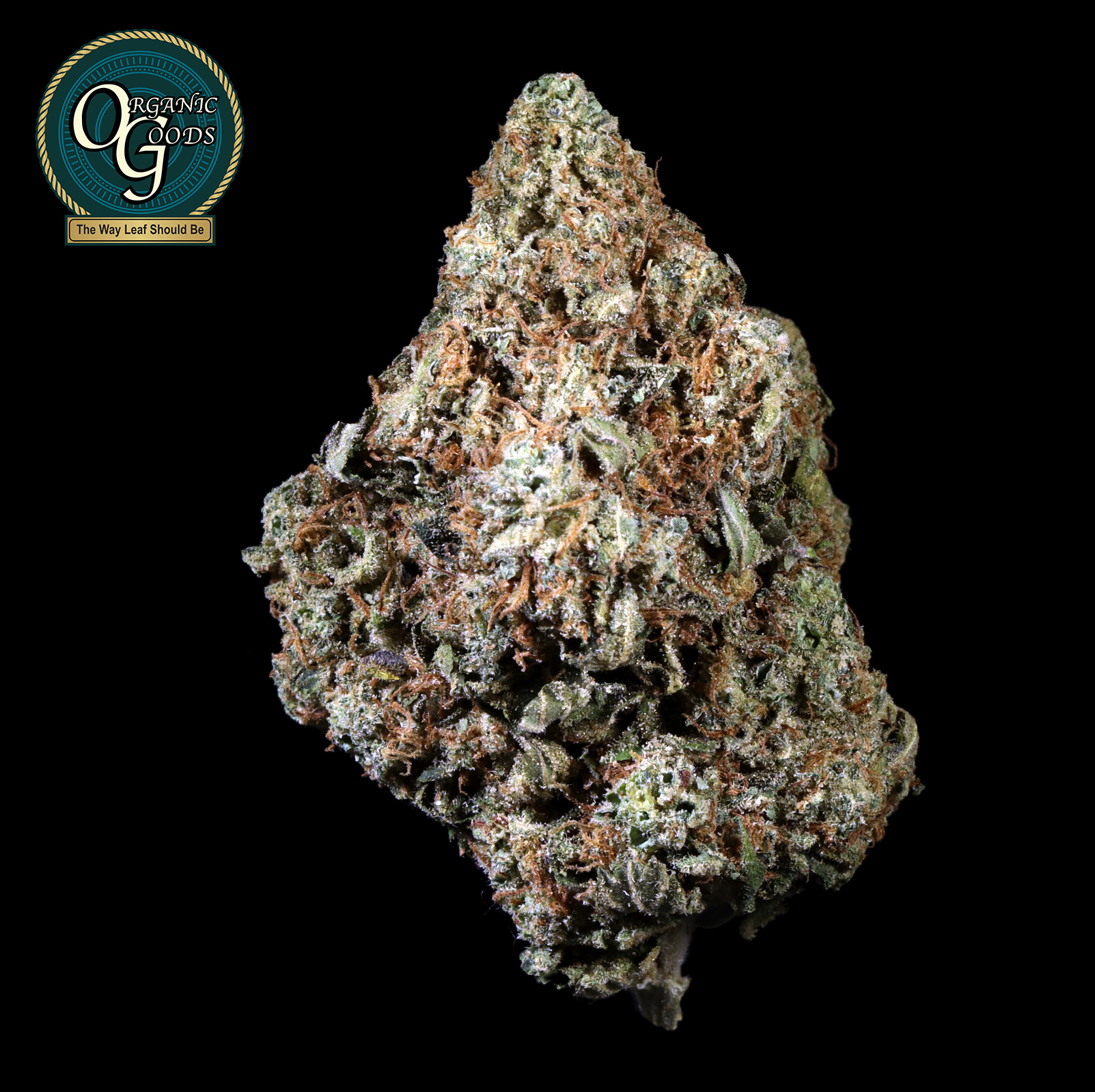Photograph of product: Ghost OG cultivated by Casco Botanicals - 28g