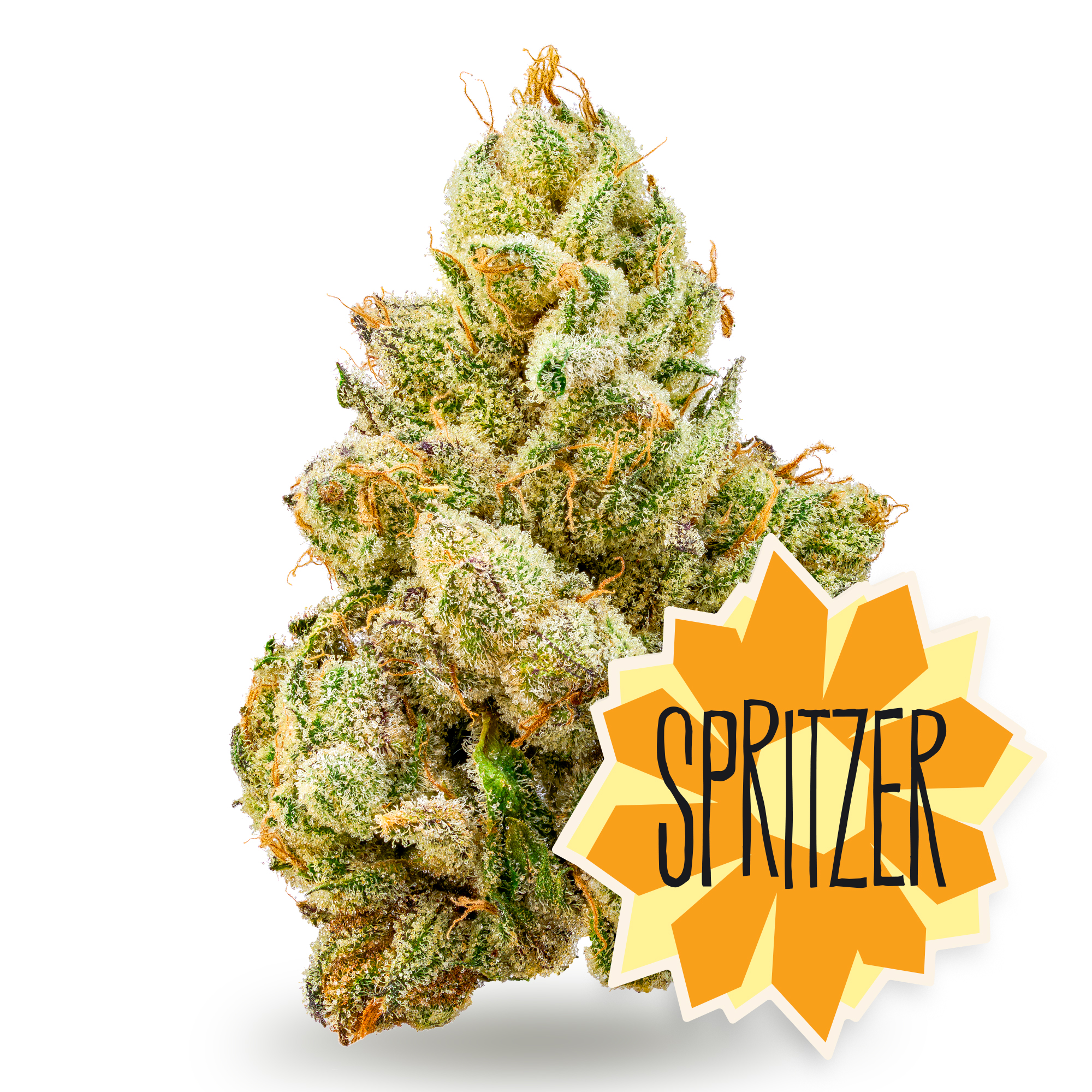 Photograph of product: Spritzer - 1g