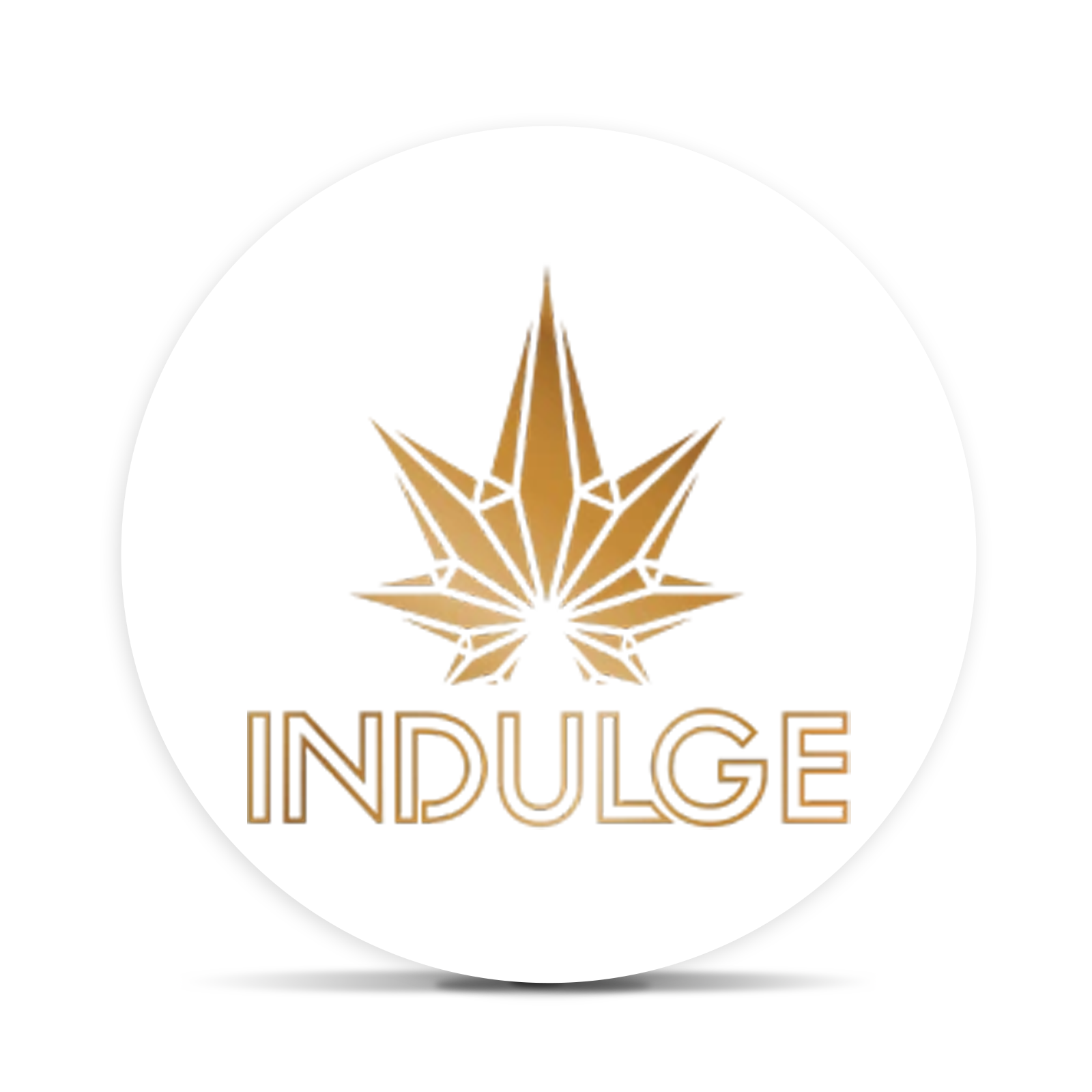 Logo for img-fluid: INDULGE