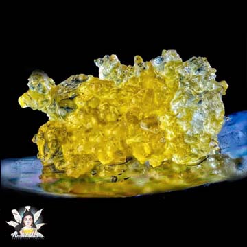 Photograph of product: Gloss Boss Live Sugar - KM