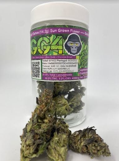 Photograph of product: GG4 | 14g Flower - 