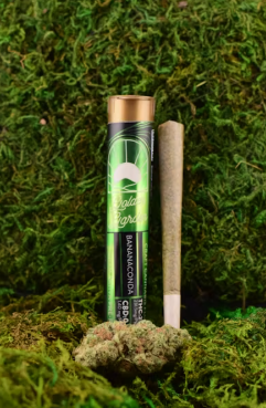 Photograph of product: Golden Garden / Pre-Roll / / Bananaconda
