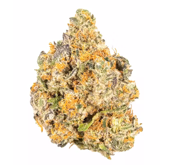 Photograph of product: SNG | OG Glue 3.5g