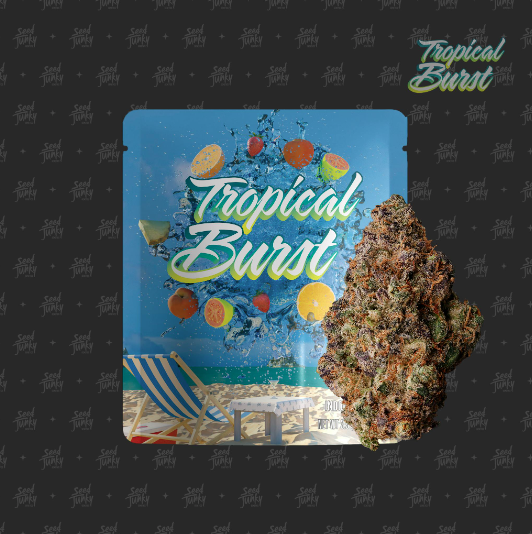 Photograph of product: Seed Junky Tropical Burst - g