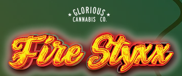 Photograph of product: Zombie Juice Infused Multipack