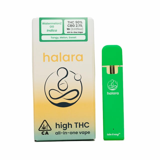 Photograph of product: WatermelonZ OG | 1G AIO - 