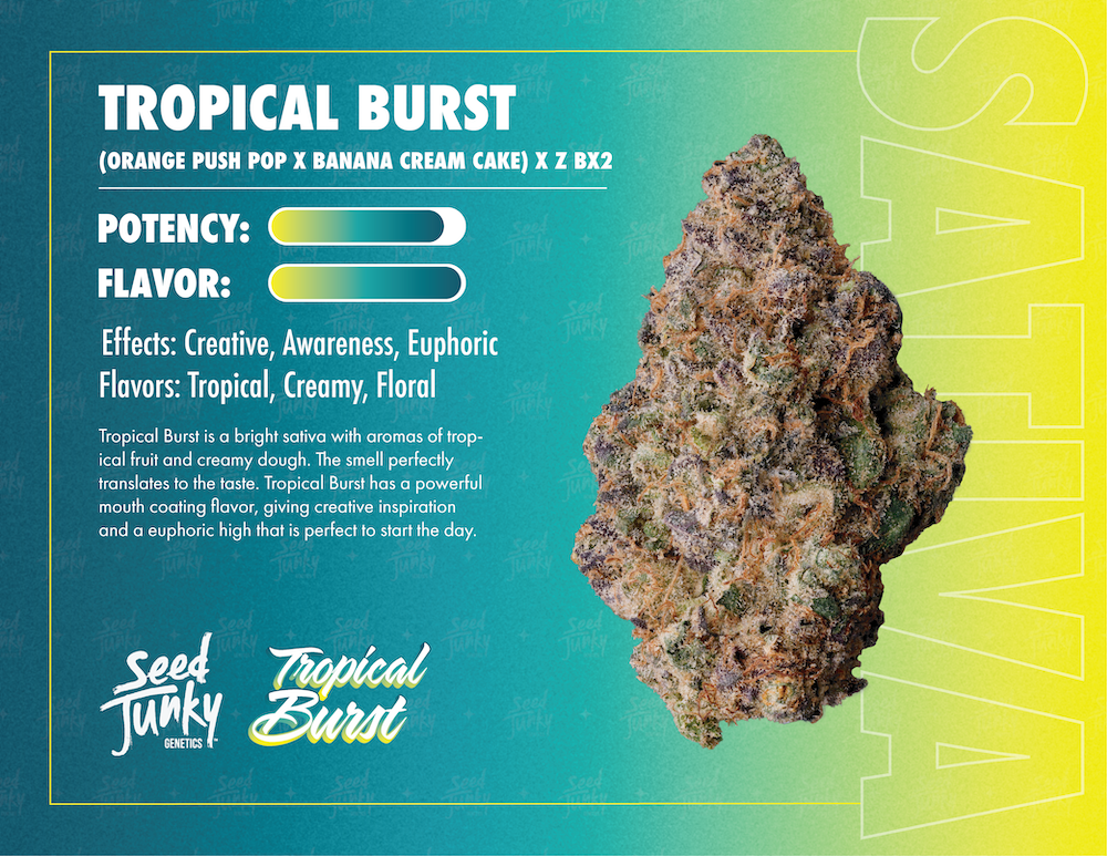 Photograph of product: Seed Junky Preroll - Tropical Burst (S)