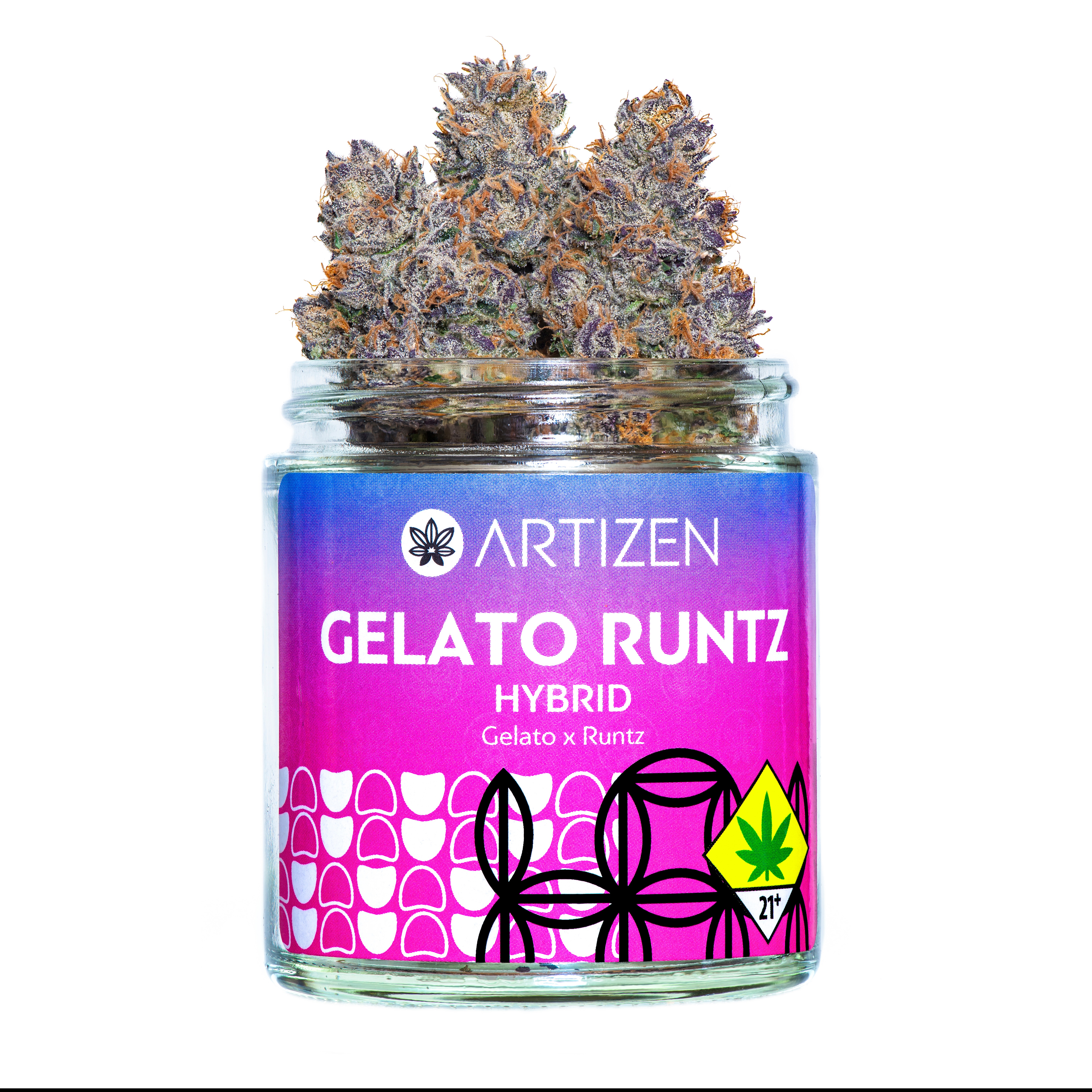 Photograph of product: Gelato Runtz Flower - 2g